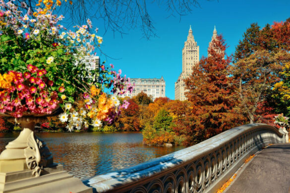 Best Things to Do in Boston