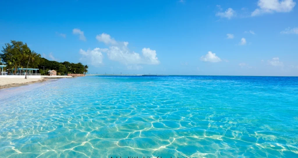 Things to Do in Key West