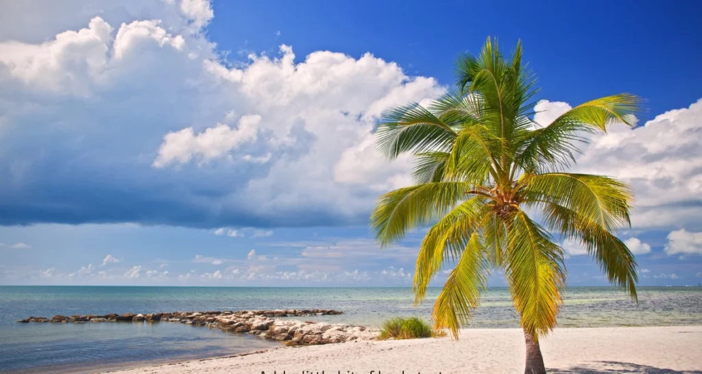 Top Things to do in Key West, Florida