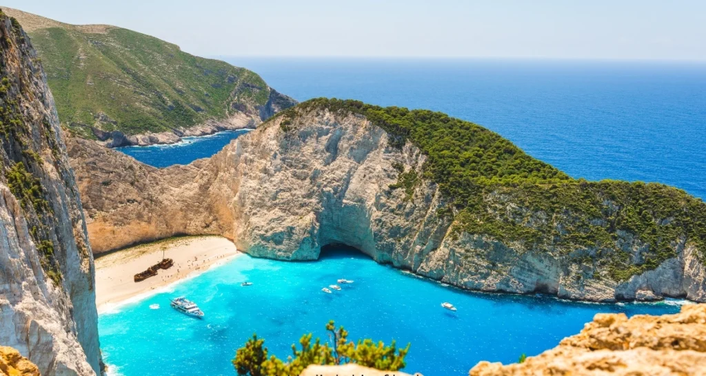 Travel Agent Institute Scams