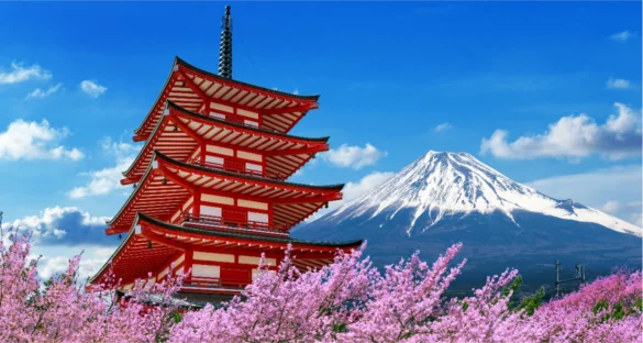 Best Trip in Japan