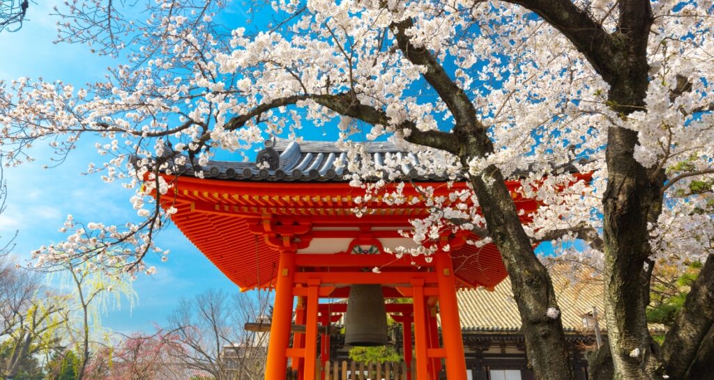 Japan travel guide