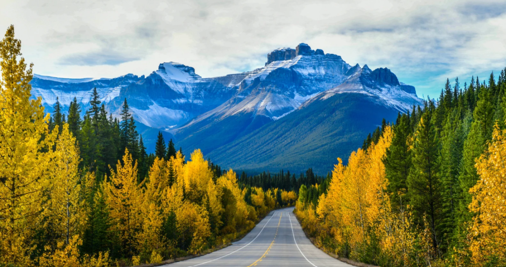 Drive the Icefields Parkway