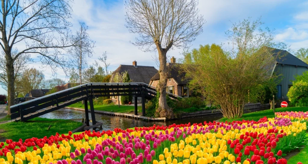 Giethoorn Day Trip