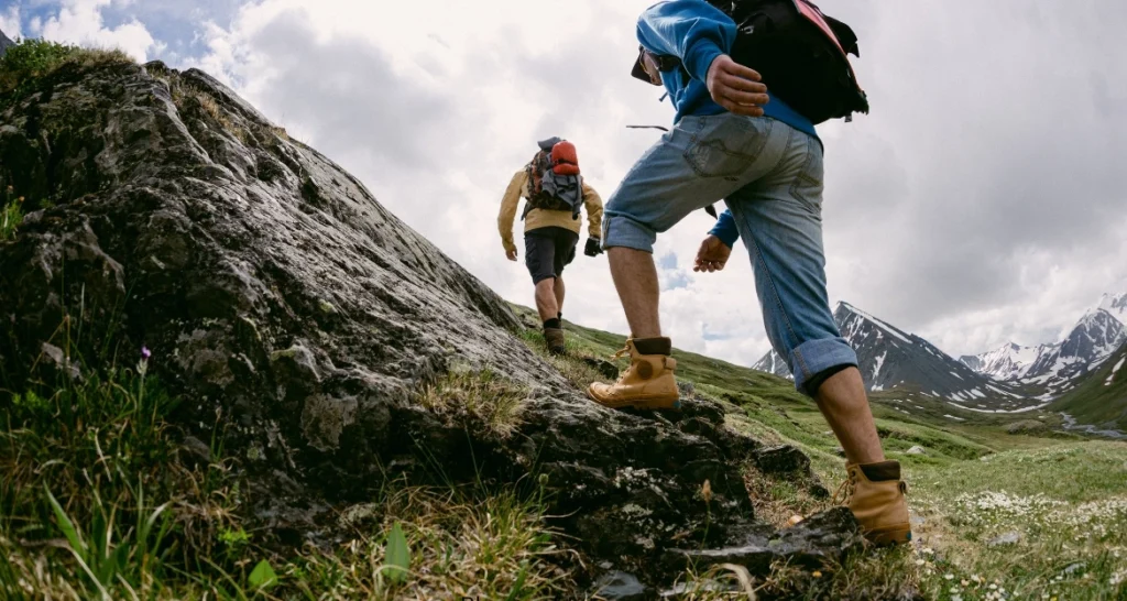Best Time for Trekking the Routeburn Track