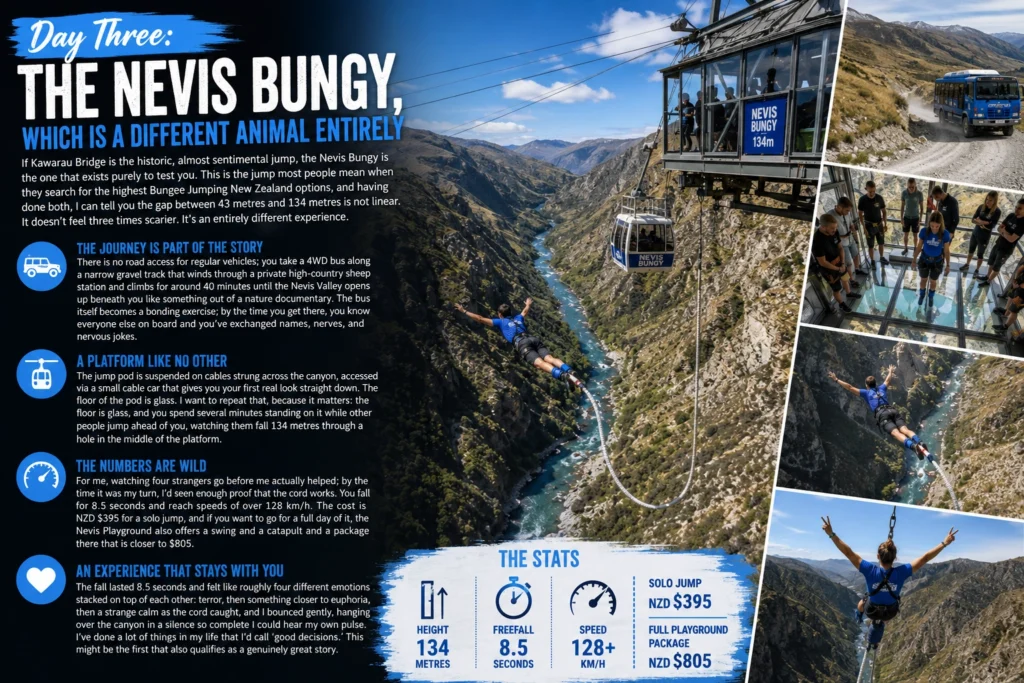 Bungee Jumping New Zealand