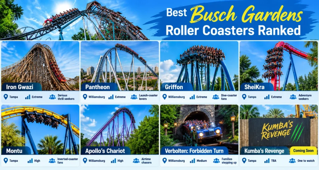 Best Busch Gardens Roller Coasters Ranked