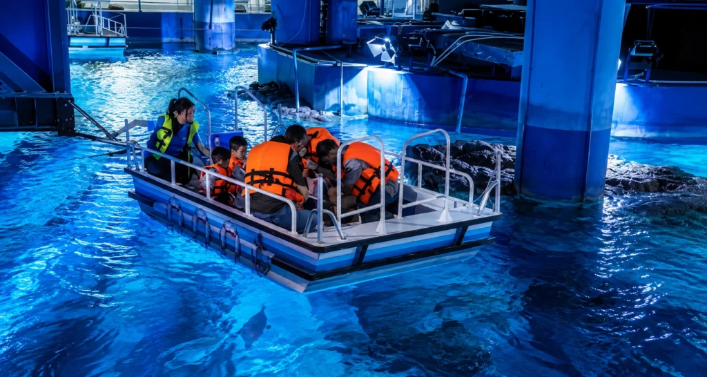 Best Glass Bottom Boat Tours in Florida  
