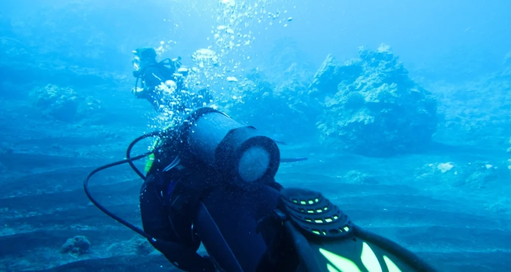 Big Island Manta Ray Night Snorkel
