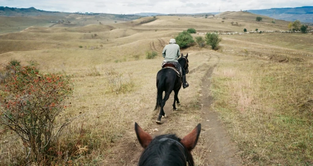 Essential Trail Riding Gear for Beginners