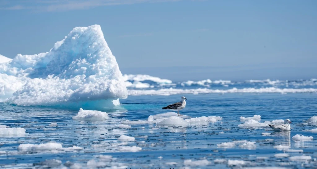 Glacier vs Iceberg
