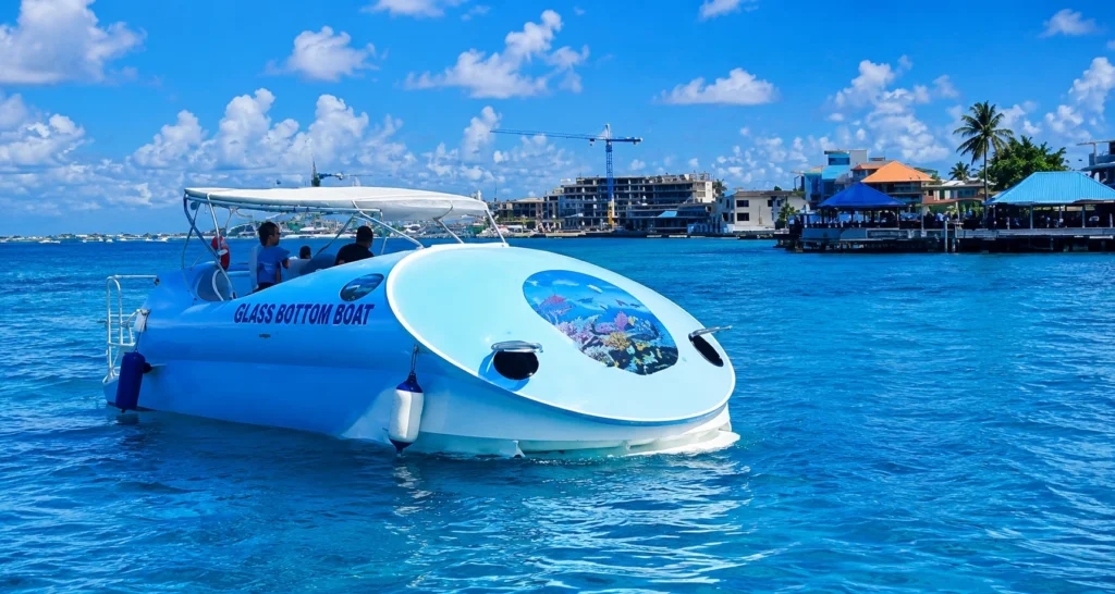 Best Glass Bottom Boat Tours in the USA