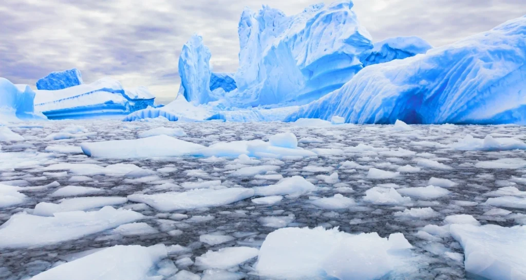 Icebergs 