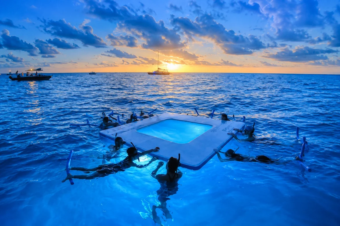 Manta Ray Night Snorkel