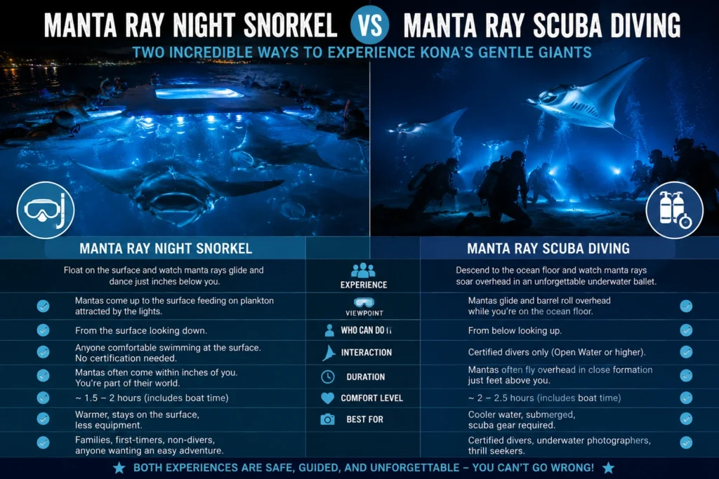 Manta Ray Night Snorkel vs Manta Ray Scuba Diving