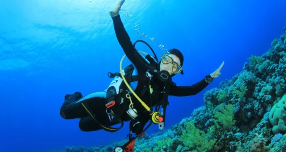 Scuba Diving