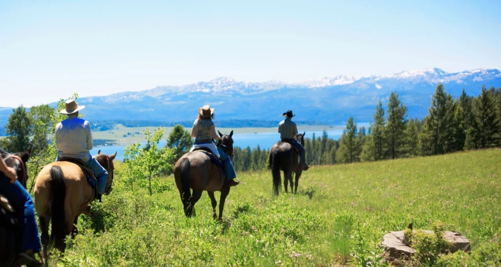Trail Riding Tips for Beginners