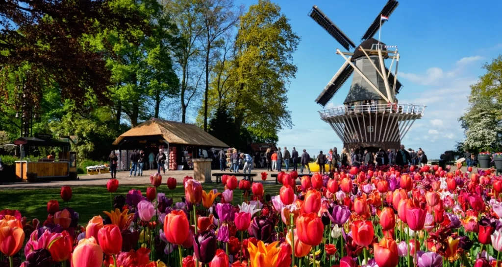 Keukenhof Tickets