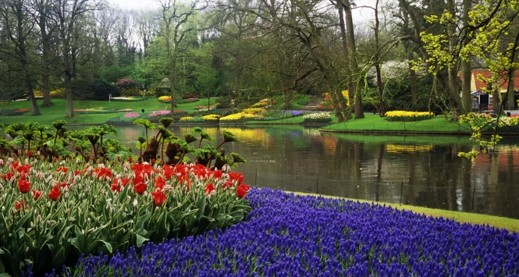 Keukenhof Tickets