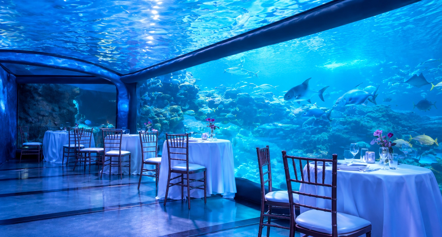 Dining tables set beside the underwater viewing window at Sea Life Sydney Aquarium