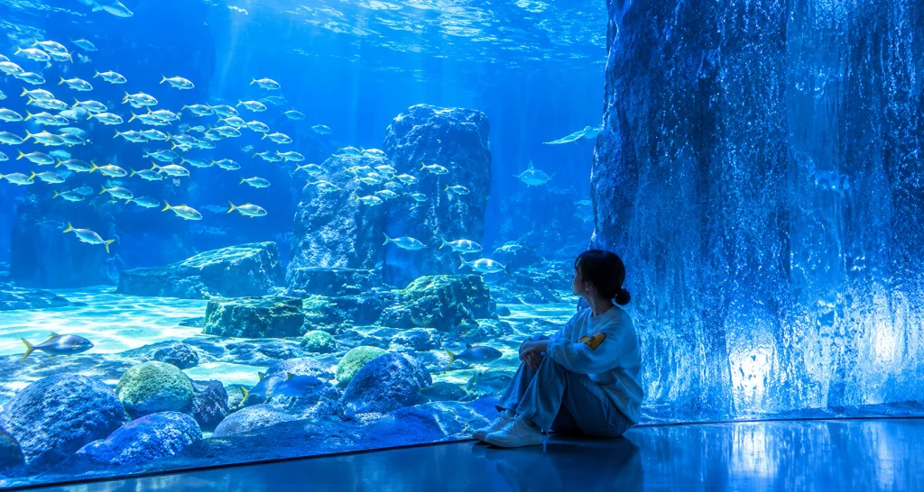 A visitor sitting quietly beside the reef tank, watching a school of fish swim past at Sea Life Sydney Aquarium