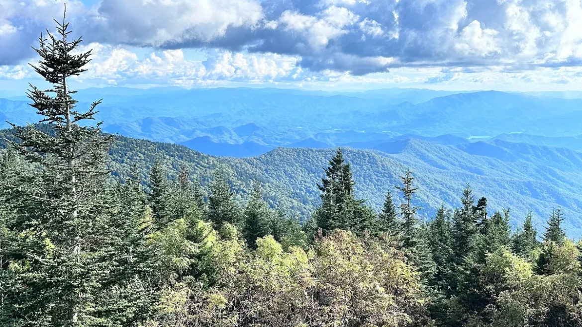 Affordable family vacations in the Great Smoky Mountains: mountain view from the Kuwohi (Clingmans Dome) trail