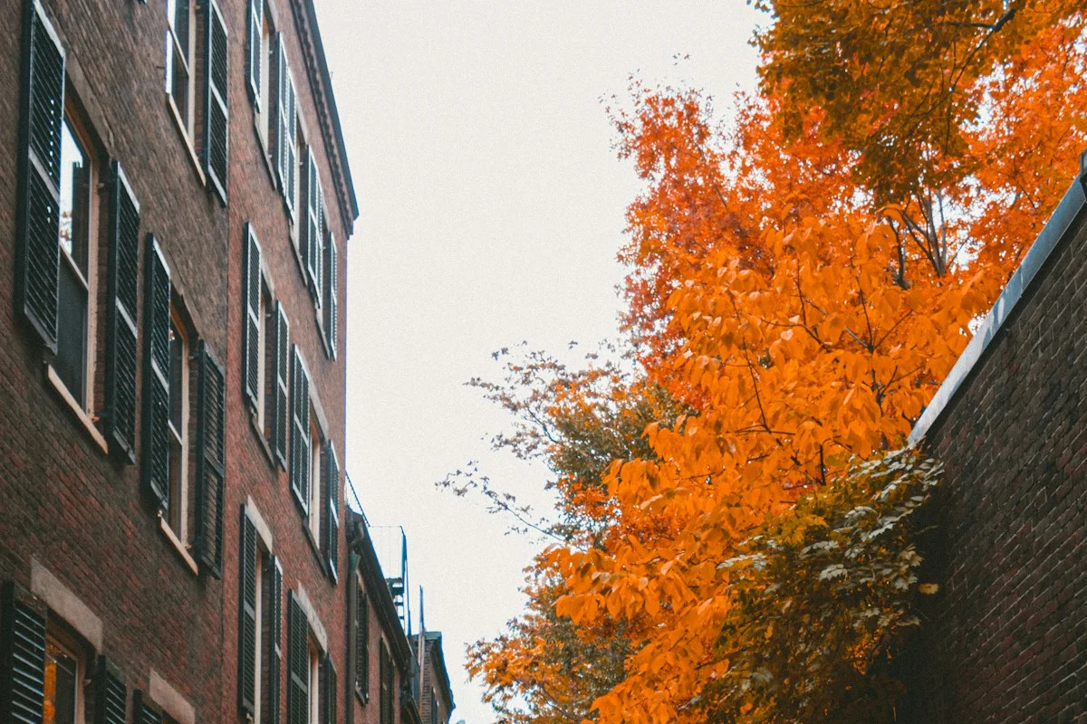 Brick buildings and gas lamps on a cobblestone street in historic Boston
