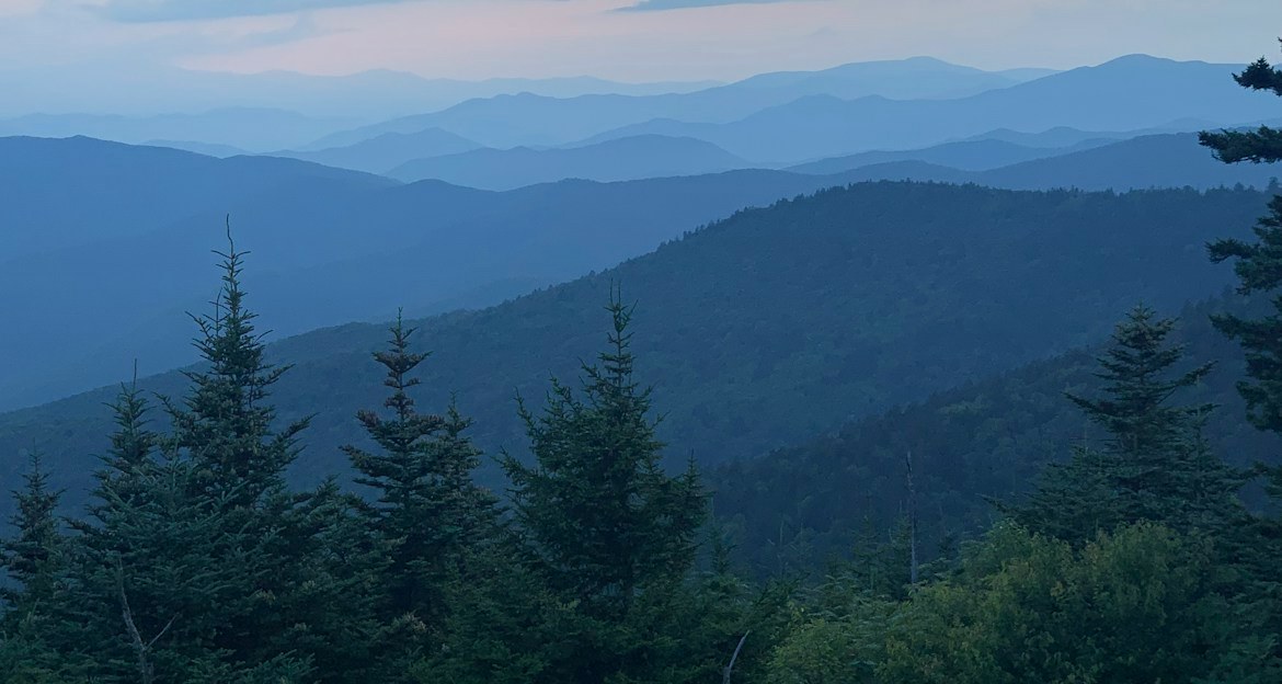 Layered blue ridgelines and pine trees in the Great Smoky Mountains at dusk