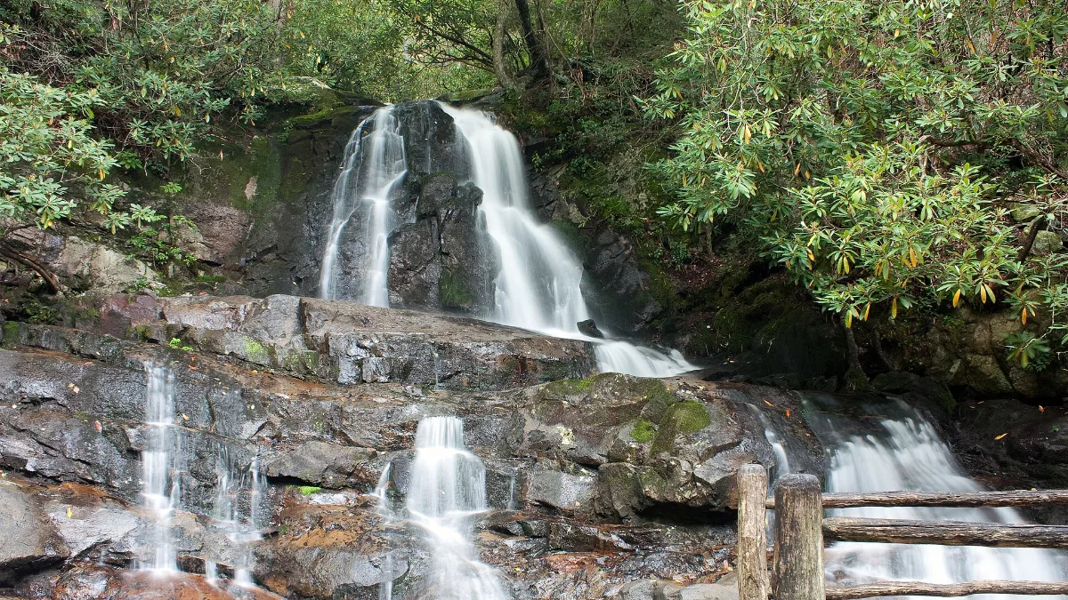 Laurel Falls, a kid-friendly waterfall hike in the Smoky Mountains