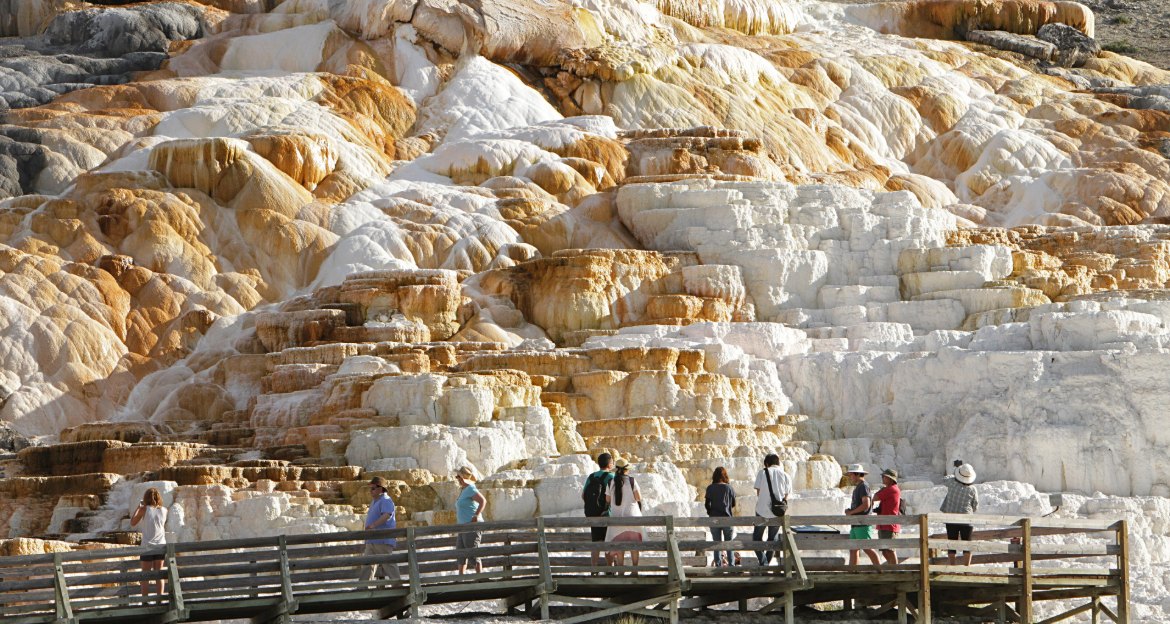Visitors on the boardwalk beside the travertine terraces of Palette Spring at Mammoth Hot Springs