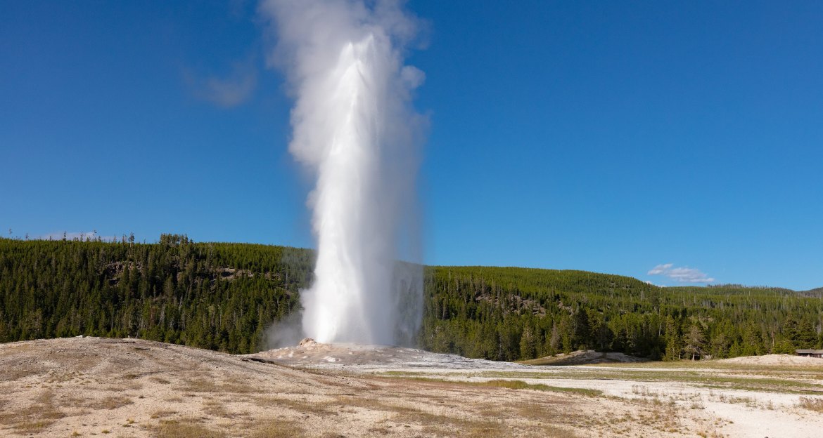 Old Faithful geyser erupting under a clear blue sky in the Upper Geyser Basin