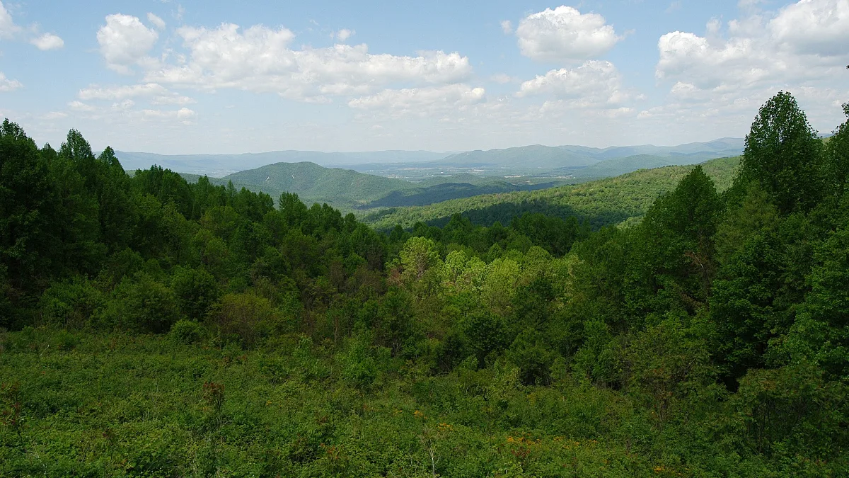Skyline Drive overlook in Shenandoah National Park, a budget family vacation option